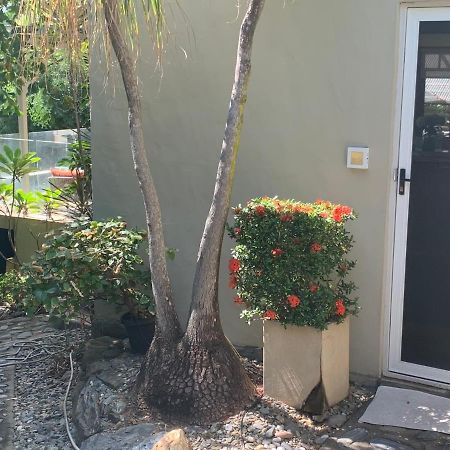Beachfront Dolphin Cabin Oak Beach Exterior foto